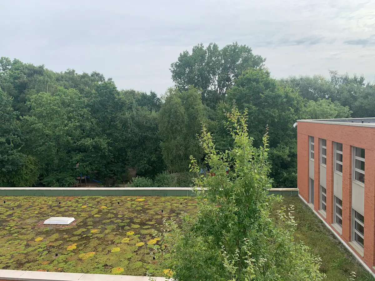 Rooftop green garden surrounded by trees on the ISH campus